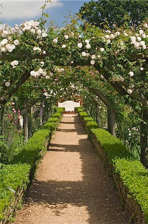 rose garden - Arches of roses, Mottisfont Abbey Garden, Hampshire, England, United Kingdom, Europe Stock Photo - Rights-Managed, Code: 841-03061452