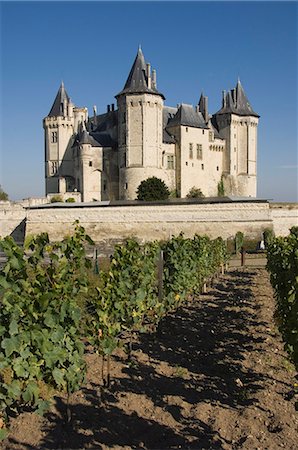 Vignobles autour du château de Saumur, Maine-et-Loire, Pays de la Loire, France, Europe Photographie de stock - Rights-Managed, Code: 841-03061516