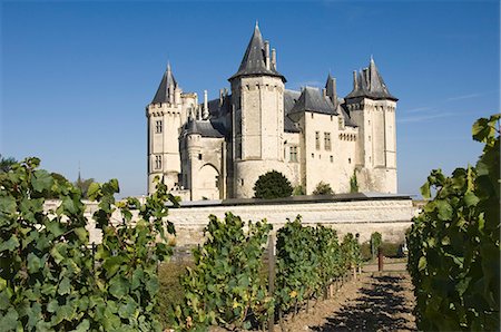 Vineyards around the Chateau de Saumur, Maine-et-Loire, Pays de la Loire, France, Europe Foto de stock - Con derechos protegidos, Código: 841-03061517