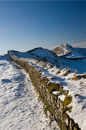 simsearch:841-02918854,k - Le mur qui serpente ouest de Housesteads Wood, mur d'Hadrien, patrimoine mondial de l'UNESCO, Northumbria, Angleterre, Royaume-Uni, Europe Photographie de stock - Rights-Managed, Code: 841-03061529
