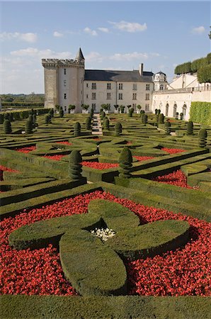 Part of the extensive ornamental flower and vegetable gardens, Chateau de Villandry, UNESCO World Heritage Site, Indre-et-Loire, Loire Valley, France, Europe Stock Photo - Rights-Managed, Code: 841-03061521
