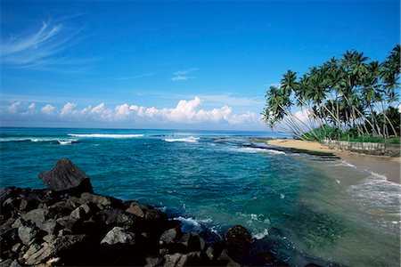 simsearch:841-03061780,k - Beach near Galle, Sri Lanka, Indian Ocean, Asia Fotografie stock - Rights-Managed, Codice: 841-03061781