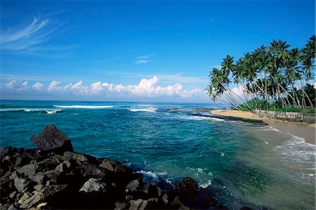 sri lanka nature photography - Beach near Galle, Sri Lanka, Indian Ocean, Asia Stock Photo - Rights-Managed, Code: 841-03061781