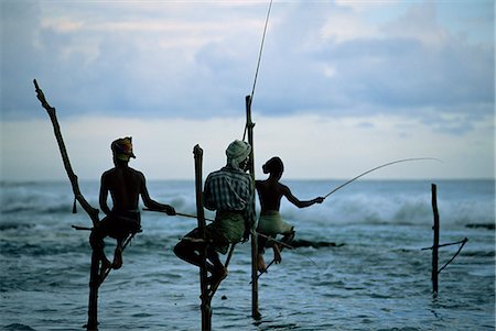 simsearch:841-02900416,k - Stilt fishermen fishing from their poles between Unawatuna and Weligama, Sri Lanka, Indian Ocean, Asia Foto de stock - Con derechos protegidos, Código: 841-03061804
