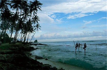 simsearch:841-03061780,k - Stilt fishermen fishing from their poles between Unawatuna and Weligama, Sri Lanka, Asia Fotografie stock - Rights-Managed, Codice: 841-03061802