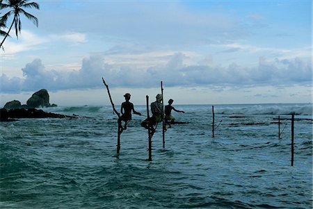 simsearch:841-03061780,k - Stilt fishermen fishing from their poles between Unawatuna and Weligama, Sri Lanka, Indian Ocean, Asia Fotografie stock - Rights-Managed, Codice: 841-03061803
