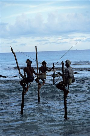 simsearch:841-02900416,k - Stilt fishermen fishing from their poles between Unawatuna and Weligama, Sri Lanka, Indian Ocean, Asia Foto de stock - Con derechos protegidos, Código: 841-03061814