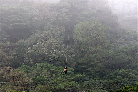 Tour de câble de canopée à Monteverde cloud forest, Costa Rica, l'Amérique centrale Photographie de stock - Rights-Managed, Code: 841-03062221
