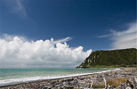 simsearch:841-03065262,k - View over driftwood and beach from the isolated town of Te Araroa, on the Pacific Coast Highway, North Island, New Zealand, Pacific Stock Photo - Rights-Managed, Code: 841-03062344