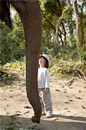 royal chitwan national park - Fillette de deux ans et l'éléphant qui l'emmènera sur safari, à la Island Jungle Resort hôtel, Parc National de Royal Chitwan, Terai, Népal, Asie Photographie de stock - Rights-Managed, Code: 841-03062394