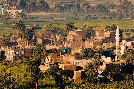 simsearch:841-03063655,k - Gezira Town, Luxor, Thebes, Middle Egypt, Egypt, North Africa, Africa Foto de stock - Con derechos protegidos, Código: 841-03062465