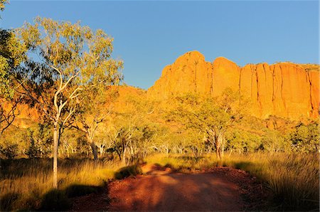 simsearch:841-02703810,k - Bungle Bungle, Purnululu National Park, UNESCO World Heritage Site, Kimberley, Western Australia, Australia, Pacific Foto de stock - Con derechos protegidos, Código: 841-03062502