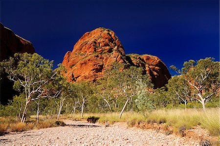 simsearch:841-02832473,k - Bungle Bungle, Purnululu National Park, UNESCO World Heritage Site, Kimberley, Western Australia, Australia, Pacific Foto de stock - Con derechos protegidos, Código: 841-03062503