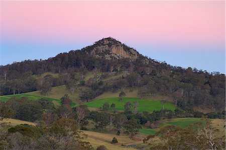 simsearch:841-03062522,k - Petit dromadaire (Najanuga), Central Tilba, New South Wales, Australie, Pacifique Photographie de stock - Rights-Managed, Code: 841-03062545