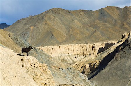 simsearch:841-03067373,k - Terre de lune des falaises érodées, Lamayuru, Ladakh, Himalaya indien, Inde, Asie Photographie de stock - Rights-Managed, Code: 841-03062624