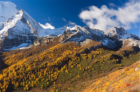 simsearch:841-03062713,k - Xiannairi mountain, réserve naturelle de Yading, Province du Sichuan, Chine, Asie Photographie de stock - Rights-Managed, Code: 841-03062703