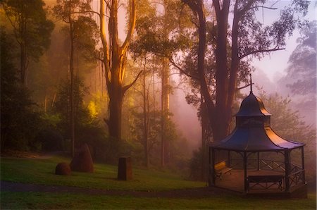 pavilion - Alfred Nicholas Gardens, Dandenong Ranges, Victoria, Australia, Pacific Stock Photo - Rights-Managed, Code: 841-03062753