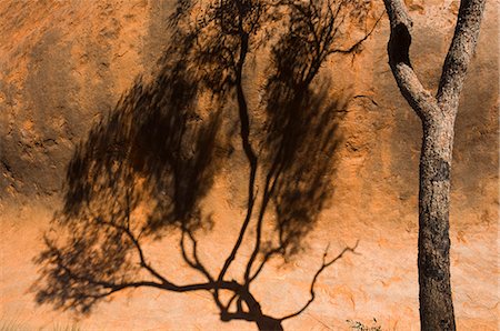 parque nacional kata tjuta - Shadow of tree on Uluru (Ayers Rock), Uluru-Kata Tjuta National Park, Northern Territory, Australia, Pacific Foto de stock - Con derechos protegidos, Código: 841-03062765