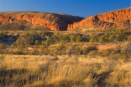 Gorge de Glen Helen, West MacDonnell National Park, territoire du Nord, Australie, Pacifique Photographie de stock - Rights-Managed, Code: 841-03062767