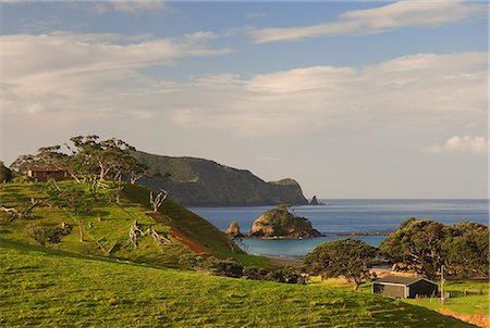 Littoral, Bay of Islands, North Island, New Zealand, Pacifique Photographie de stock - Rights-Managed, Code: 841-03062794