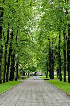 simsearch:841-03062874,k - Esplanade, green park near the Russian Orthodox Cathedral, Riga, Latvia, Baltic States, Europe Stock Photo - Rights-Managed, Code: 841-03062874