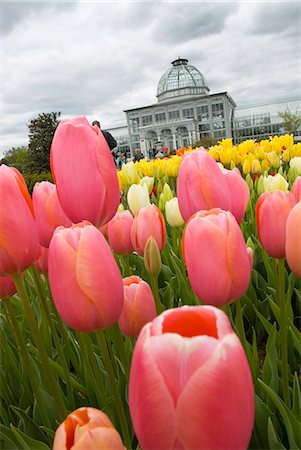 Lewis Ginter Botanical Garden, Richmond, Virginia, États-Unis d'Amérique, l'Amérique du Nord Photographie de stock - Rights-Managed, Code: 841-03063757