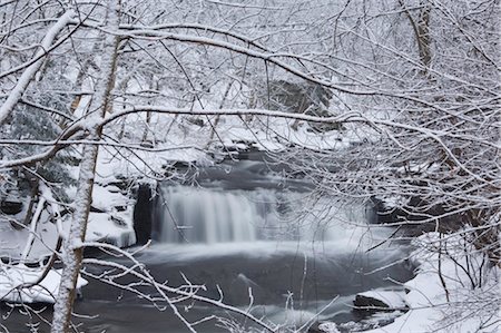 A waterfall in winter surrounded by snow covered trees, Rensselaerville, New York State, United States of America, North America Stock Photo - Rights-Managed, Code: 841-03454231
