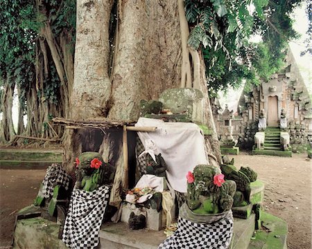 simsearch:841-05796328,k - Autel au pied d'un arbre de kepuh en face d'un temple de Durga à Bali (Indonésie), Asie du sud-est, Asie Photographie de stock - Rights-Managed, Code: 841-03489520