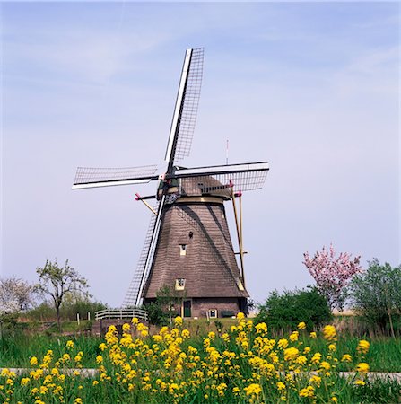 Windmill, Kinderdijk, near Rotterdam, Holland, Europe Foto de stock - Con derechos protegidos, Código: 841-03489656