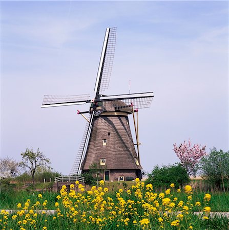 Windmill, Kinderdijk, near Rotterdam, Holland, Europe Stock Photo - Rights-Managed, Code: 841-03489656