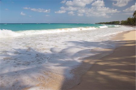 Palm-Baum Schatten auf dem Sand in der Alleynes Bucht an der Westküste von Barbados, Windward-Inseln, Karibik, Caribbean, Mittelamerika Stockbilder - Lizenzpflichtiges, Bildnummer: 841-03505056