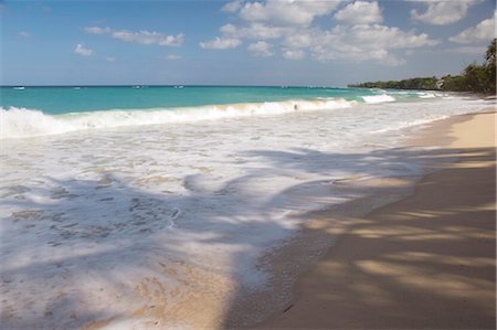 Palm tree shadows on the sand in Alleynes Bay on the west coast of Barbados, Windward Islands, West Indies, Caribbean, Central America Stock Photo - Rights-Managed, Code: 841-03505056