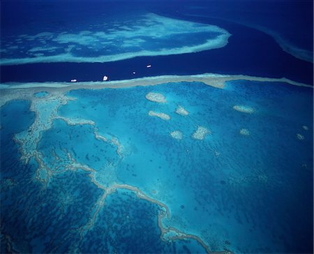 Grande barrière de corail, patrimoine mondial UNESCO, Queensland, Australie, Pacifique Photographie de stock - Rights-Managed, Code: 841-03505075