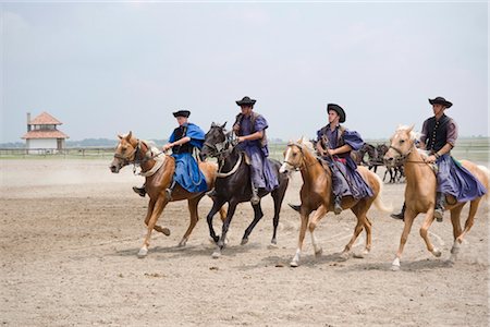 Eine Demonstration der Reitkunst auf einem Bauernhof in der Nähe von Kalocsa, Ungarn, Europa Stockbilder - Lizenzpflichtiges, Bildnummer: 841-03505070