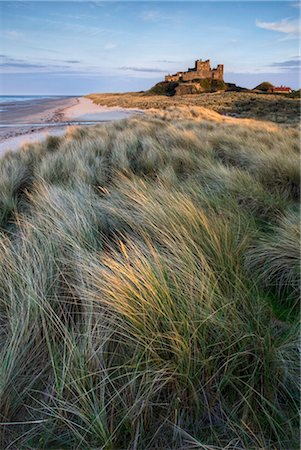 Looking towards Bamburgh Castle bathed in evening light from the dunes above Bamburgh Beach, Bamburgh, Northumberland, England, United Kingdom, Europe Foto de stock - Con derechos protegidos, Código: 841-03505241