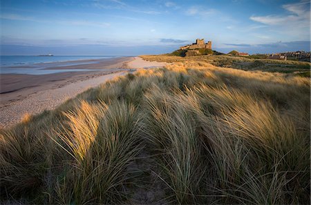 Blick in Richtung Bamburgh Castle gebadet in Abend Licht aus den Dünen über Bamburgh Beach, Bamburgh, Northumberland, England, Vereinigtes Königreich, Europa Stockbilder - Lizenzpflichtiges, Bildnummer: 841-03505242