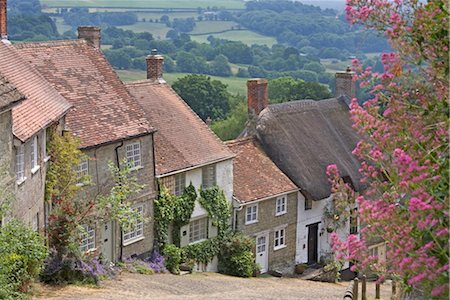 dorset - Gold Hill in June, Shaftesbury, Dorset, England, United Kingdom, Europe Foto de stock - Con derechos protegidos, Código: 841-03505407
