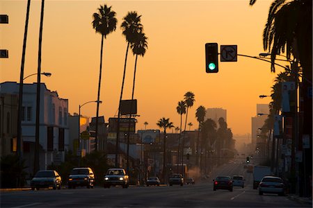 palm trees at sunset hollywood - Early morning, Sunset Boulevard, Hollywood, California, United States of America, North America Stock Photo - Rights-Managed, Code: 841-03505494