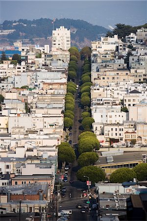 streets of san francisco - Tree lined street, San Francisco, California, United States of America, North America Stock Photo - Rights-Managed, Code: 841-03505493