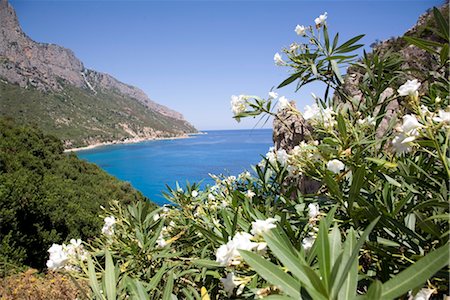 seascapes mountain view - The blue sea at Santa Maria Navarrese, Gulf of Orosei, Sardinia, Italy, Mediterranean, Europe Stock Photo - Rights-Managed, Code: 841-03505666