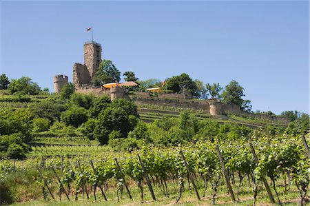 pfalz - Wachtenburg, Pfalz wine area, Germany, Europe Foto de stock - Direito Controlado, Número: 841-03505801