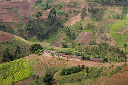 simsearch:862-03355431,k - Village de merveilleux, Province de Cibitoke, au Burundi, Afrique Photographie de stock - Rights-Managed, Code: 841-03507871