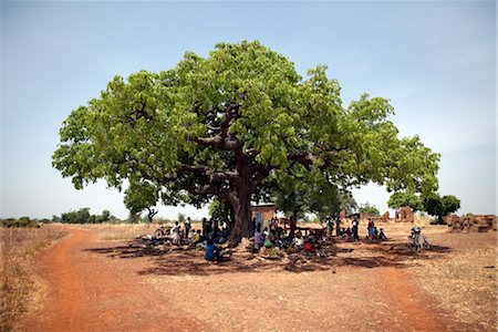 Villageois se réunissent sous un grand arbre à Nandom, Afrique, Ghana, Afrique de l'ouest Photographie de stock - Rights-Managed, Code: 841-03507956