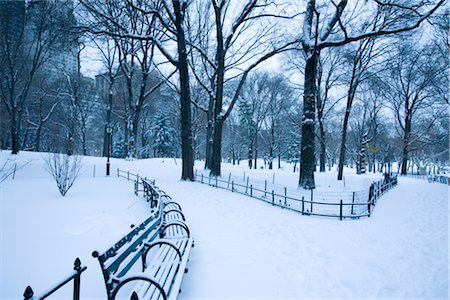 park bench nobody - An early morning view of Central Park after a snowstorm, New York City, New York State, United States of America, North America Stock Photo - Rights-Managed, Code: 841-03517021