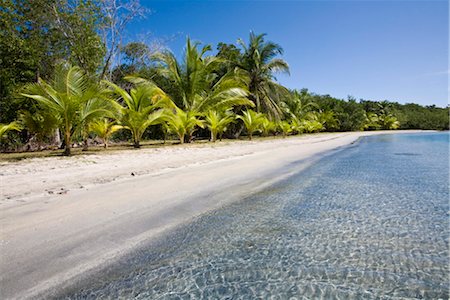 Star Beach, Colon Island (Isla Colon), Bocas del Toro Province, Panama, Central America Stock Photo - Rights-Managed, Code: 841-03517050