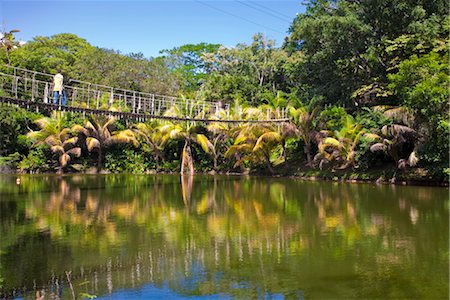 roatan - Gumba Limba Park, Roatan, Bay Islands, Honduras, Central America Foto de stock - Direito Controlado, Número: 841-03517052