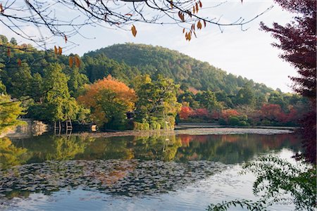 ryoan-ji - Autumn colours reflected a pond at Ryoan ji (Ryoanji) Temple dating from 1450, Kyoto, Japan, Asia Foto de stock - Direito Controlado, Número: 841-03517516