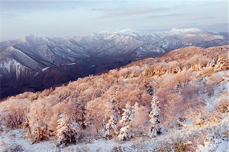 Sunrise over snow covered Towada Hachimantai National Park, Iwate prefecture, Japan, Asia Foto de stock - Con derechos protegidos, Código: 841-03517543