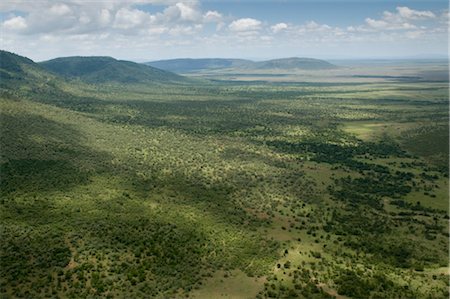 Masai Mara National Reserve, Kenya, East Africa, Africa Stock Photo - Rights-Managed, Code: 841-03517619