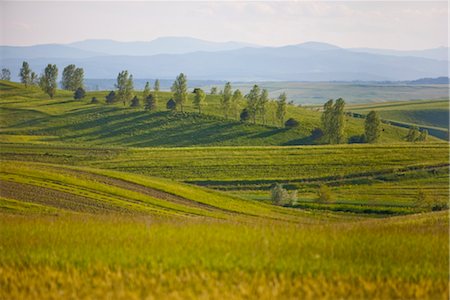 roumanie - Countryside near Suceava, Bucovina, Romania, Europe Stock Photo - Rights-Managed, Code: 841-03518215